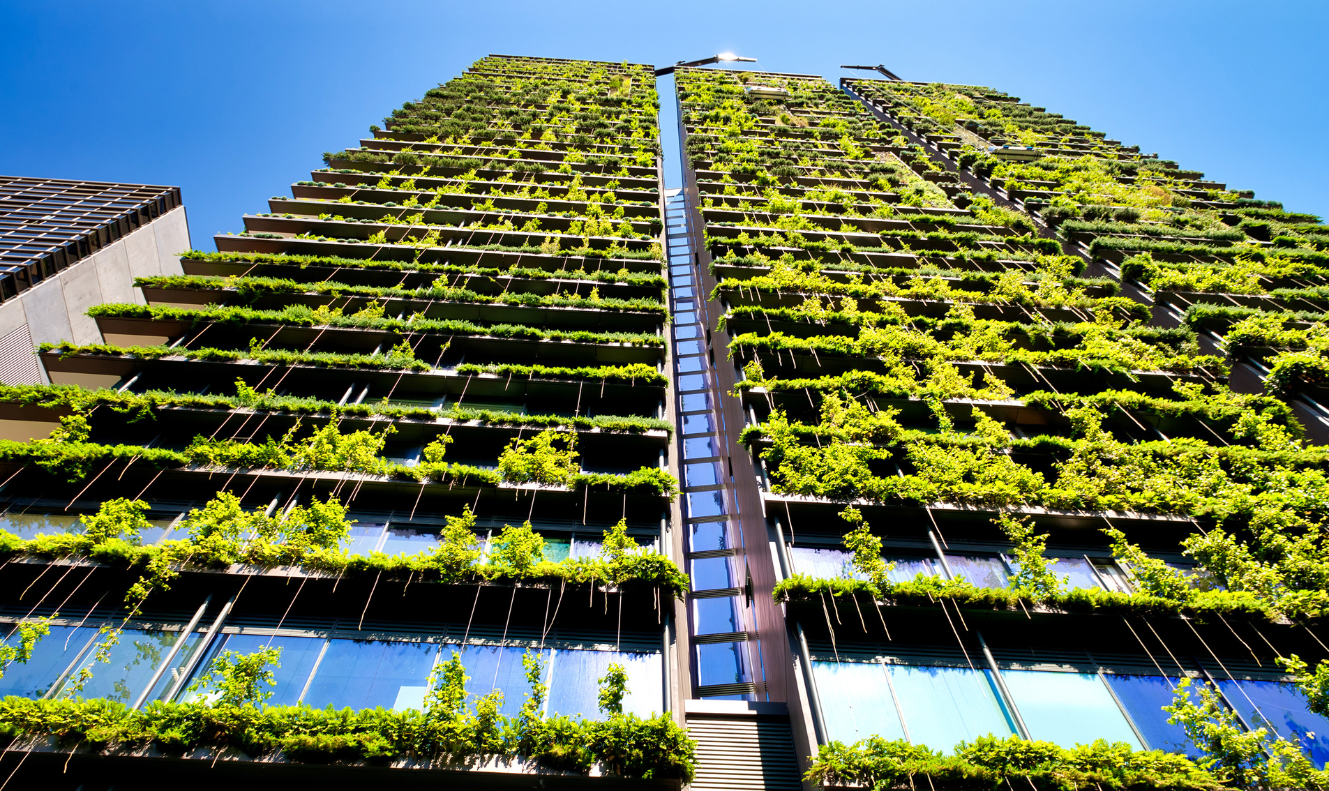 Green Skyscraper Building with Plants